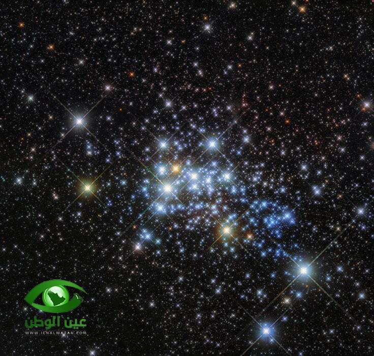 سلامٌ علينا