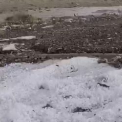 في الأحواز .. إيراني غاضب يشعل مقهى ويقتل 11