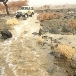 ضابط إيراني أسير يكشف طريقة نقل عناصر الحرس الثوري لليمن