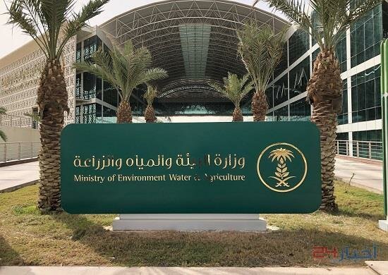 “البيئة” تطلق خدمة إلكترونية للحصول على تراخيص زراعة المحاصيل والحبوب