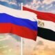 مصر تُعزِّي روسيا في ضحايا حادث سقوط طائرة