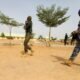 مسلحون يقتلون 30 شخصًا على الأقل في شمال نيجيريا