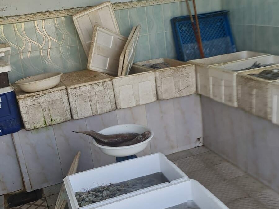 أمانة جدة تتلف 690كجم من الأسماك الفاسدة بالقوزين جنوب المحافظة