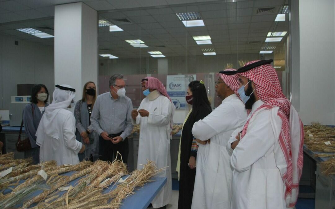 “البيئة” تستعرض أبرز التوجهات الحديثة الداعمة للمحاصيل