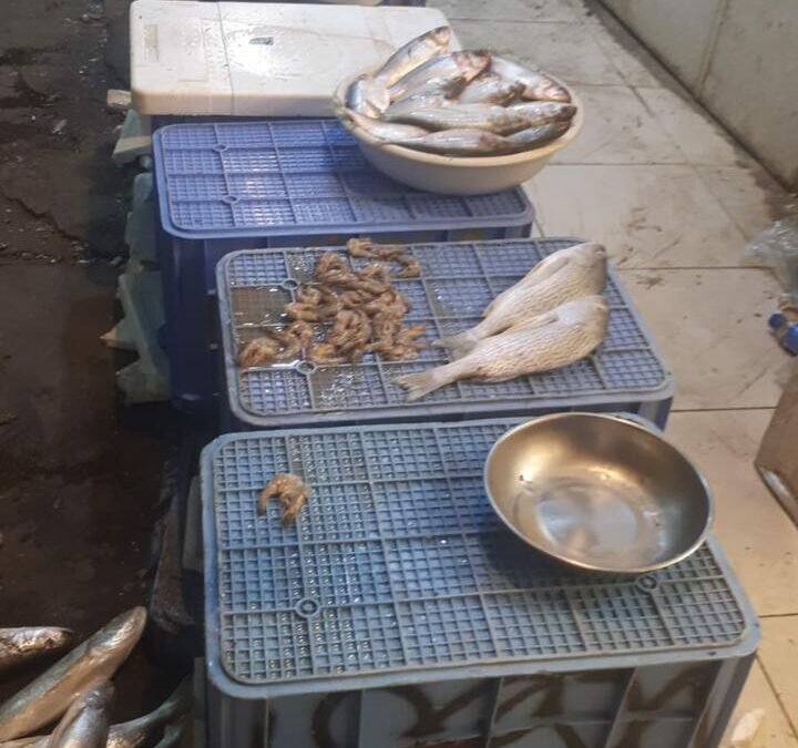 ضبط 10 “أحوشة” مخالفة للسكراب بالشرائع ومصادرة أكثر من 1300 كجم مواد غذائية بالمسفلة