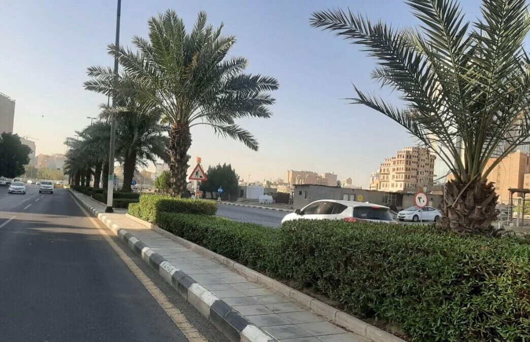 إزالة تعديات بمنطقة الشميسي على مساحة 200 ألف م2 وصيانة الحدائق بمكة