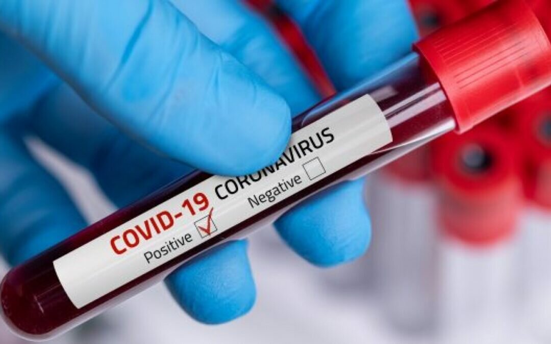 قرار عاجل من الرئيس الروسي للحد من انتشار كورونا