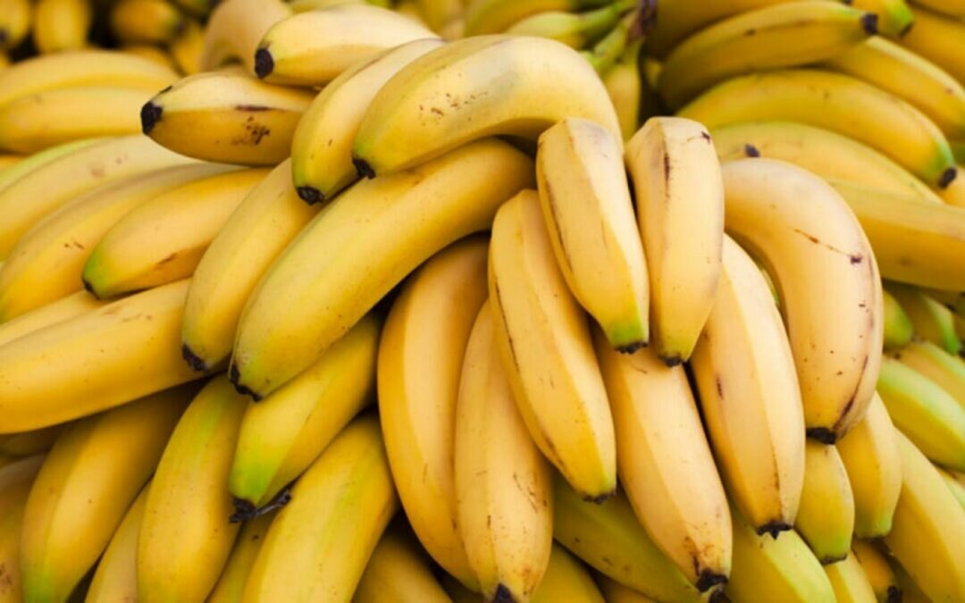 خبيرة تغذية تحذر من تناول الموز بكثرة وتكشف عن بدائله
