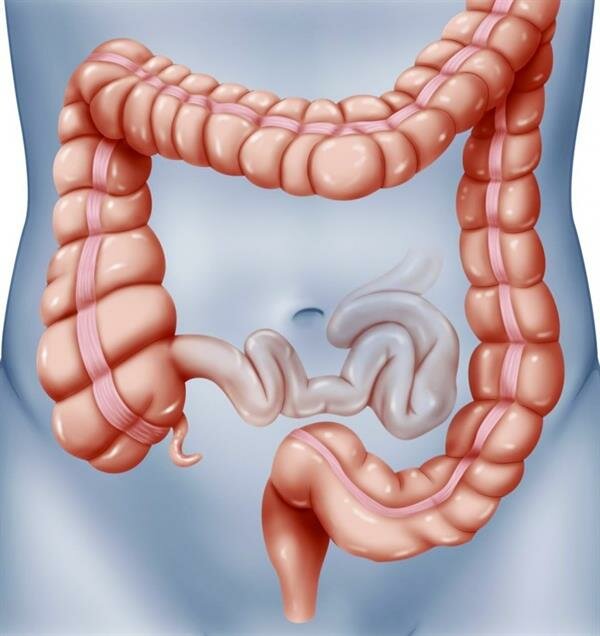 تعرّف على أسباب الإمساك وعلاجاته وطرق الوقاية منه
