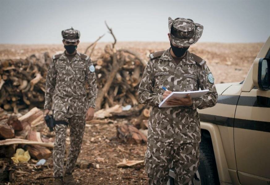 ضبط 5 مخالفين لنظام البيئة قطعوا أشجاراً بغرض تحويلها إلى فحم في جدة