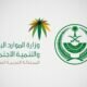 وزارتا “الداخلية” و”الموارد البشرية” تبدآن تنفيذ خدمة إصدار وتجديد الإقامة بشكل ربع سنوي
