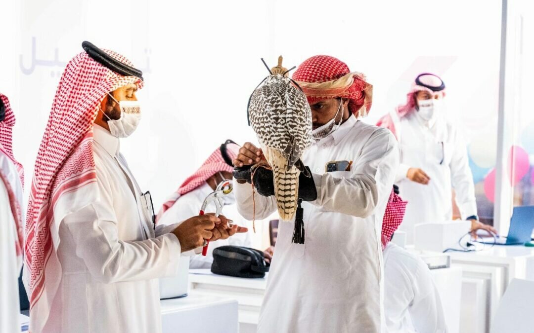 بدء التسجيل للمنافسة على كأس موسم الرياض للصقور وجوائز بأكثر من 5 ملايين ريال