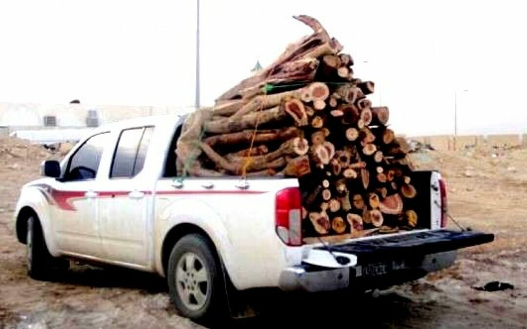 ضبط 9 مخالفين لنظام البيئة قاموا بعرض حطب محلي على 9 مركبات