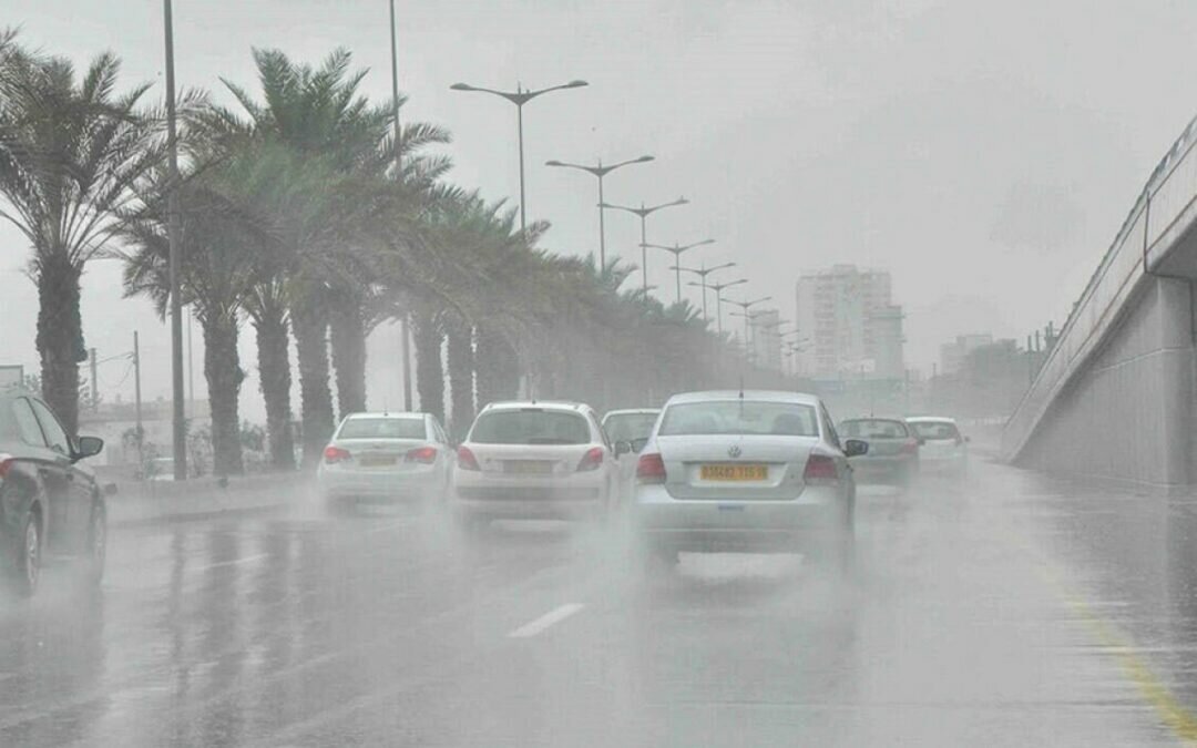 طقس الثلاثاء.. ضباب ورياح نشطة وسماء غائمة على 7 مناطق