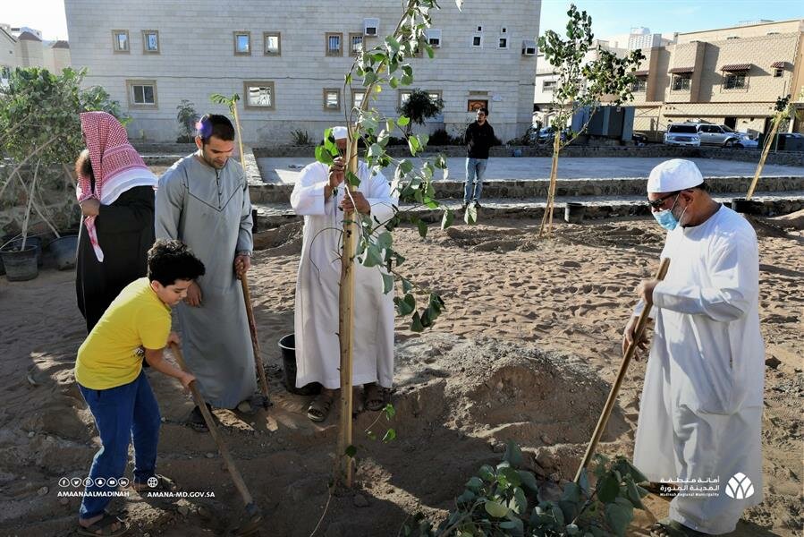 أمانة المدينة المنورة تطلق مبادرة تشجير ساحات المساجد بالمدينة (صور)