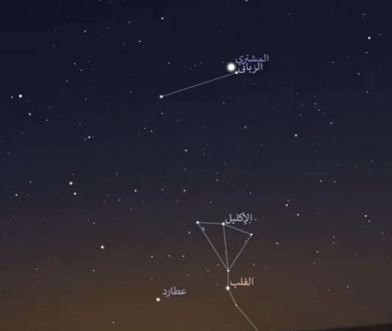 الحصيني لعين الوطن: غداً الإثنين أول أيام النجم الثاني