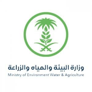 “البيئة” تعلن طرح وظائف لكلا الجنسين لشغلها بنظام التعاقد