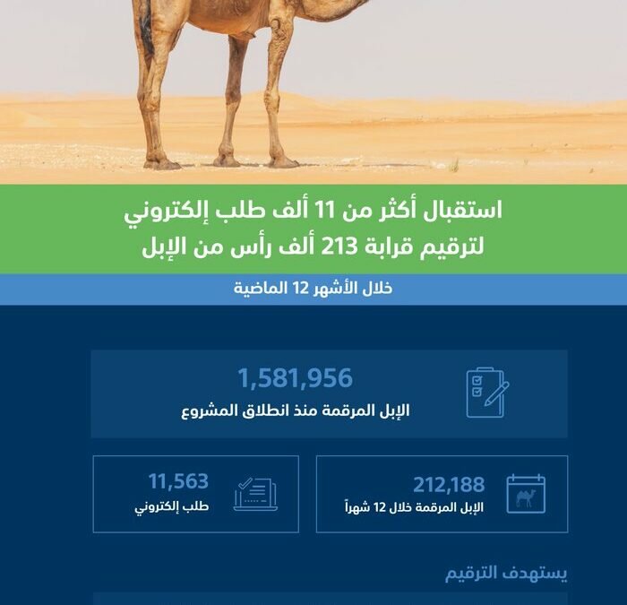 “البيئة” تستعرض جهودها في تطوير قطاع الإبل واقتصادياته