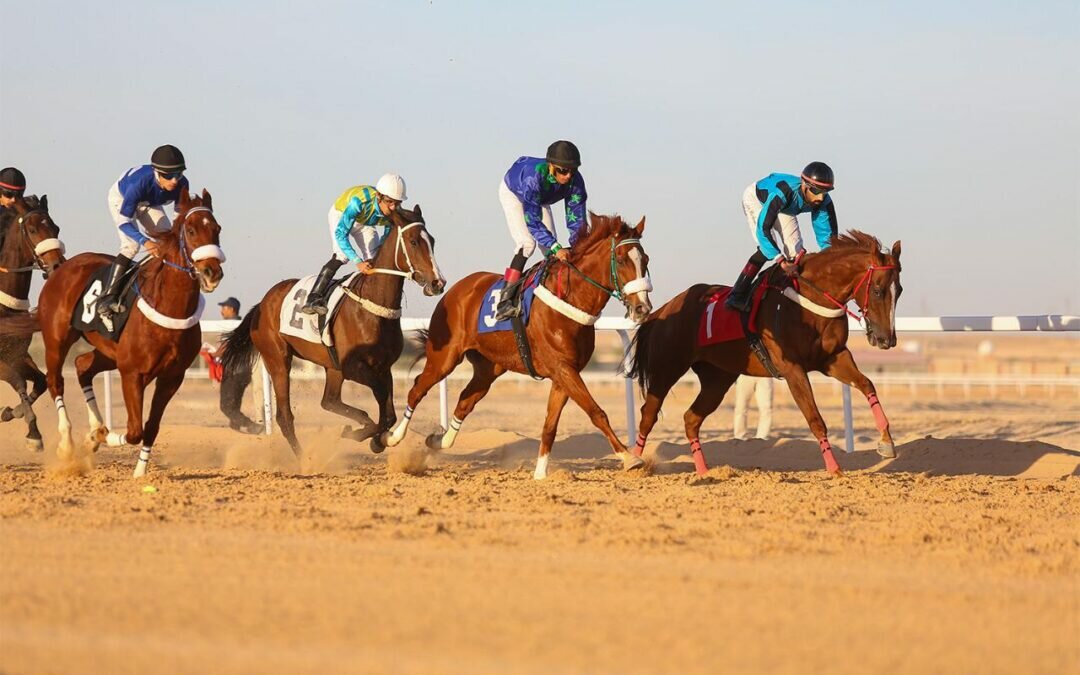 تواصل سباقات الحفل الرابع لميدان الفروسية بالأحساء 1443