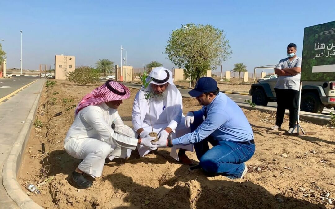 “تقنية صامطة” تدشن مبادرة “كلية صامطة الخضراء”