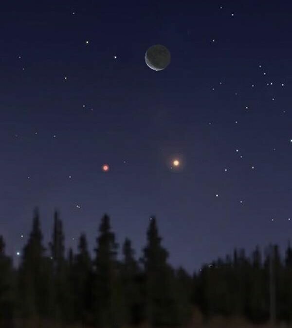 فلكية جدة: سماء المملكة تشهد ظاهرة فلكية صباح الجمعة