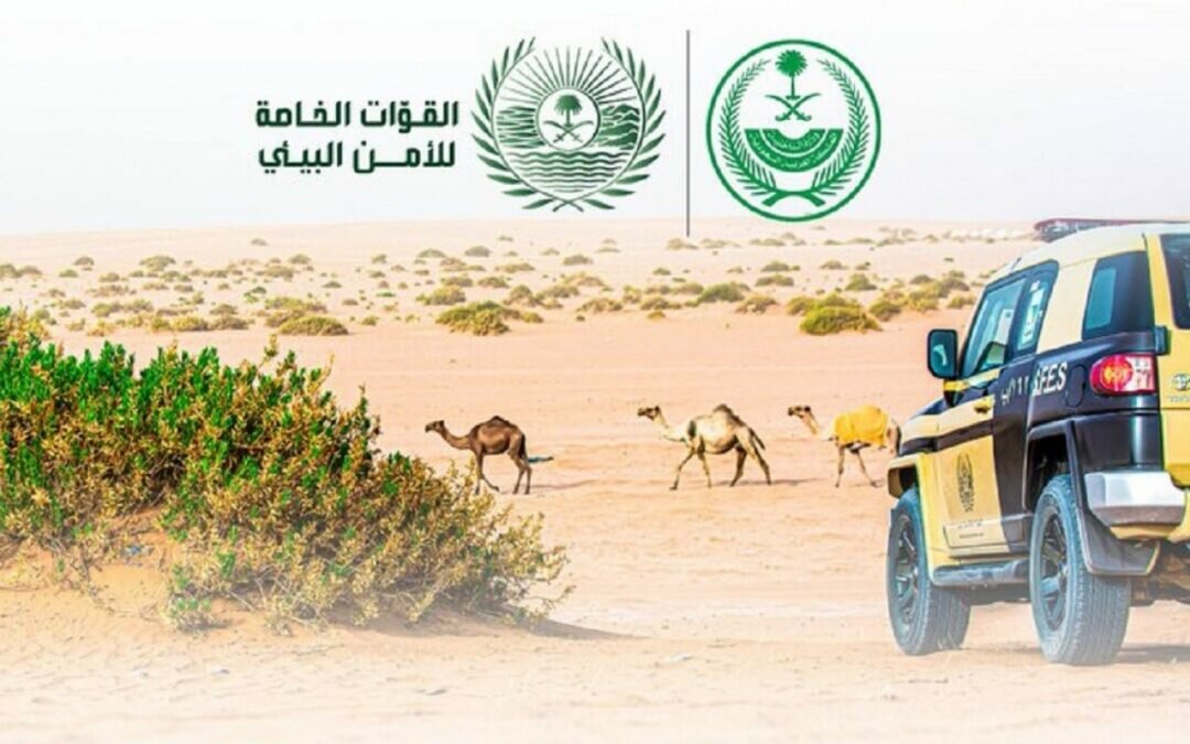 القوات الخاصة تطيح بـ9 مخالفين بحوزتهم 5 صقور وتكشف عقوبتهم