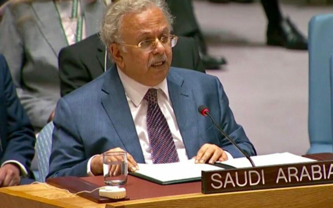 بيان قوي للمملكة بالأمم المتحدة: الله خلق من كل زوجين اثنين وما هو غير ذلك يتعارض مع الفطرة