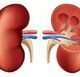 علامات تحذيرية تدل على وجود مشاكل في الكلى.. انتبه لها (صور)