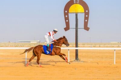 انطلاق سباقات الحفل التاسع لميدان فروسية بالأحساء