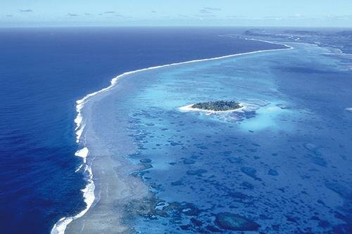 بعد موافقة “الوزراء” على الانضمام له.. تعرّف على التحالف العالمي للمحيطات وهدفه الرئيسي