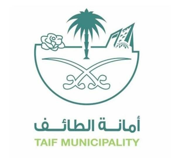 بعد تضرر مركبتين .. أمانة الطائف تكشف سبب الهبوط الأرضي بطريق “وادي وج”