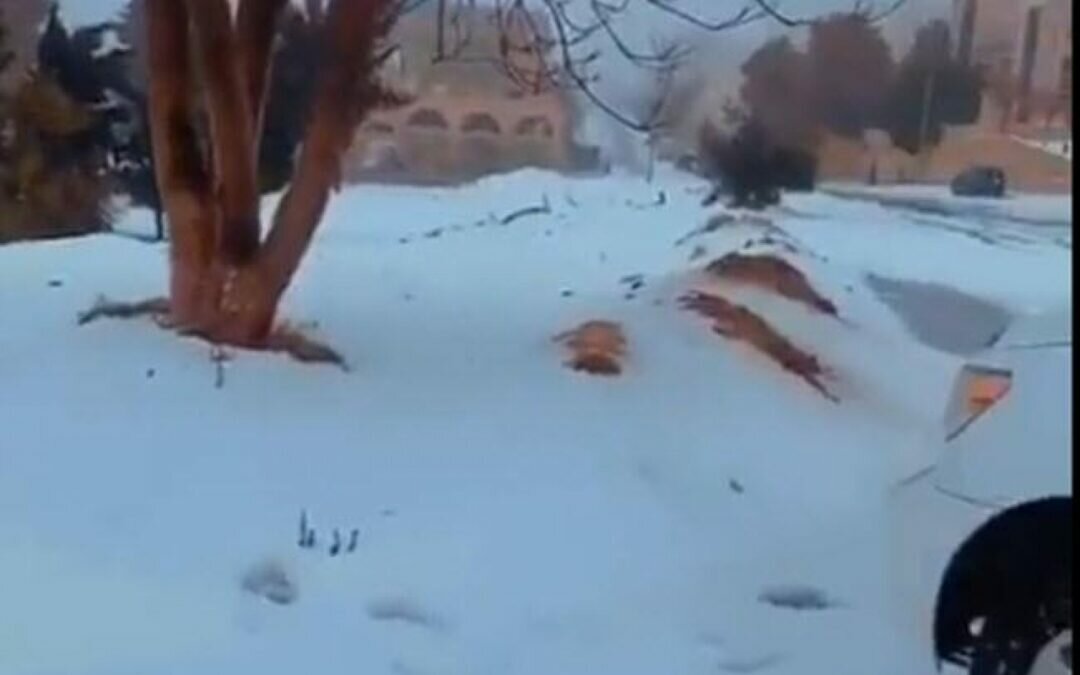 بالفيديو.. الثلوج تغطي غرب العاصمة الأردنية عمان