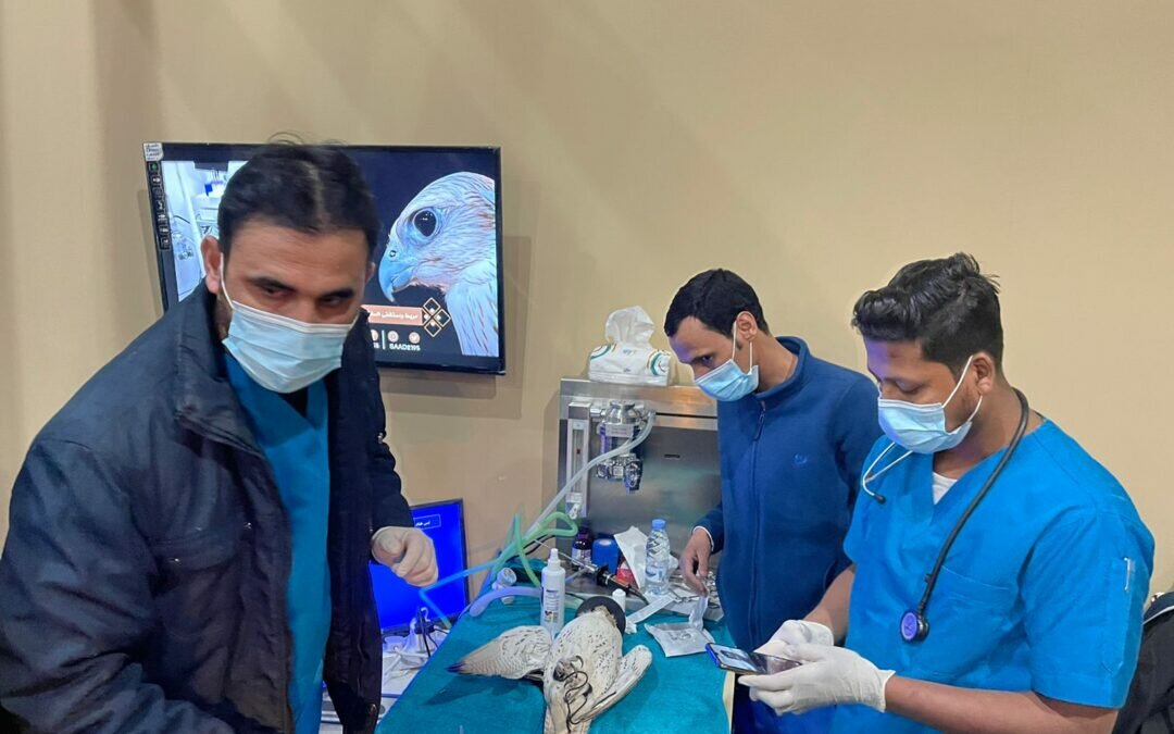 مكتب وزارة البيئة والمياه والزراعة يشارك في مهرجان الصقور السابع