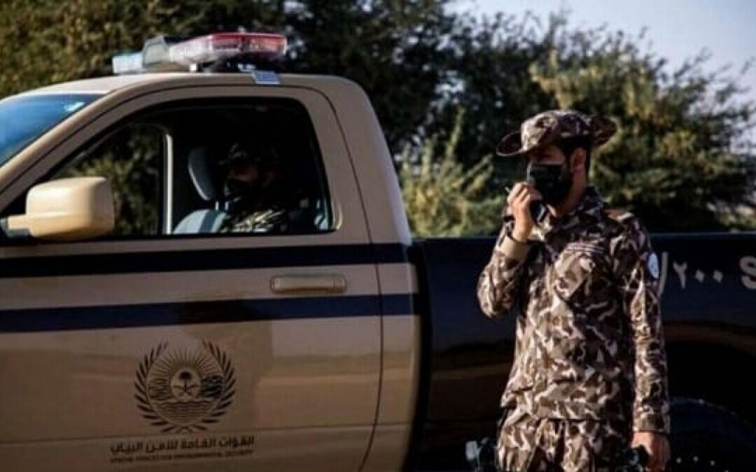 الأمن البيئي يوقف 12 مخالفًا ويحيلهم إلى هذه العقوبات