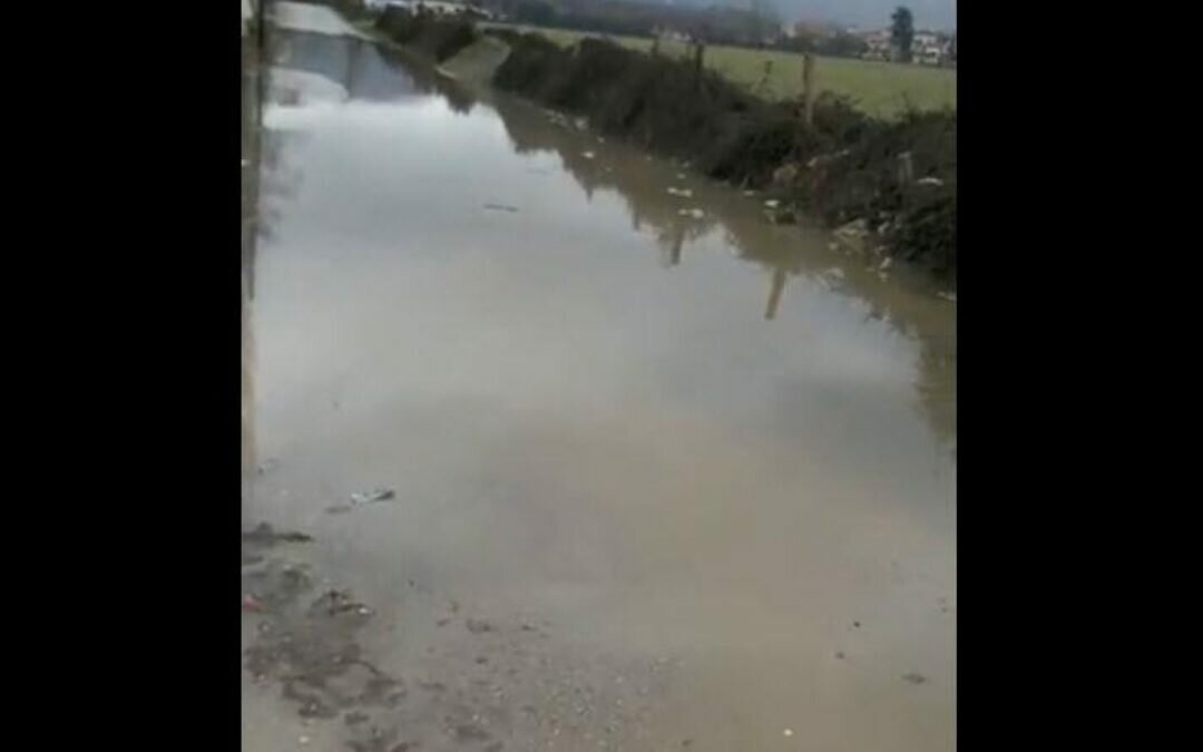 فيضانات من الصرف الصحي تجتاح دولة عربية (فيديو)