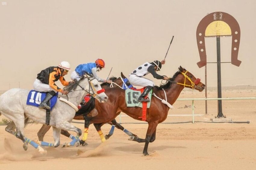انطلاق سباقات الحفل الرابع و العشرون لميدان فروسية الأحساء الموسم الفروسي 1443هـ