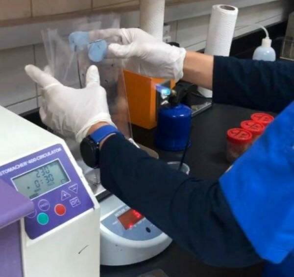 مختبرات الأمانة تؤكد سلامة 99% من عينات الاغذية بالعاصمة المقدسة