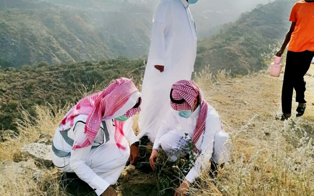 تدشين مبادرة أسبوع البيئة بمقر نادي فيفاء الرياضي برعاية المحافظ