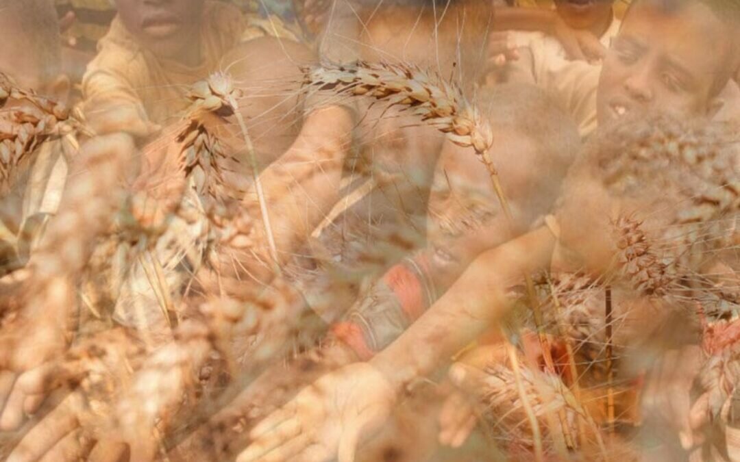 «مجاعة» قد تضرب هذه القارة بسبب الحرب في أوكرانيا