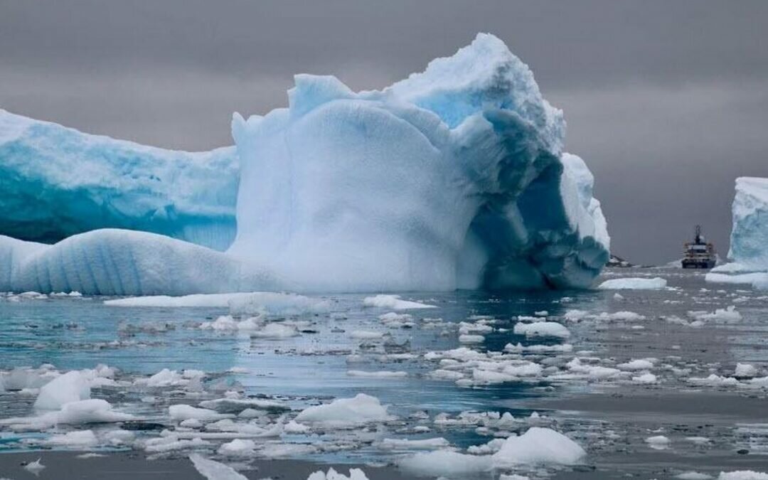 على غير المتوقع.. موجات حر غير مسبوقة تضرب القطبين