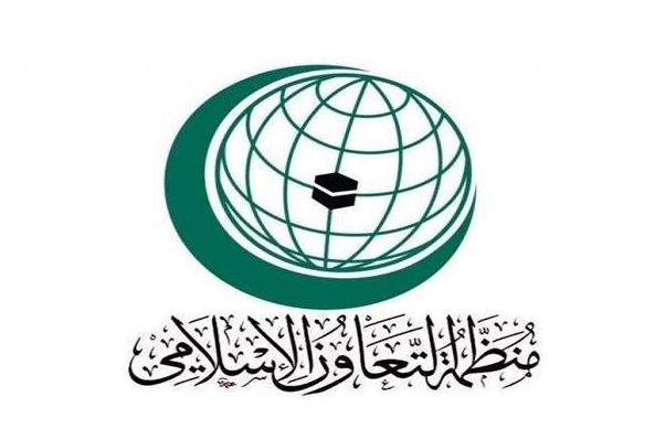 “التعاون الإسلامي” تدعو أمريكا إلى إعادة تصنيف المليشيات الحـوثية جماعة إرهابية