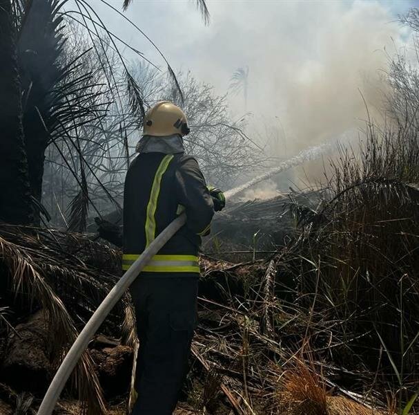 الدفاع المدني يسيطر على حريق مَزارع بعدة مواقع بدومة الجندل (صور)