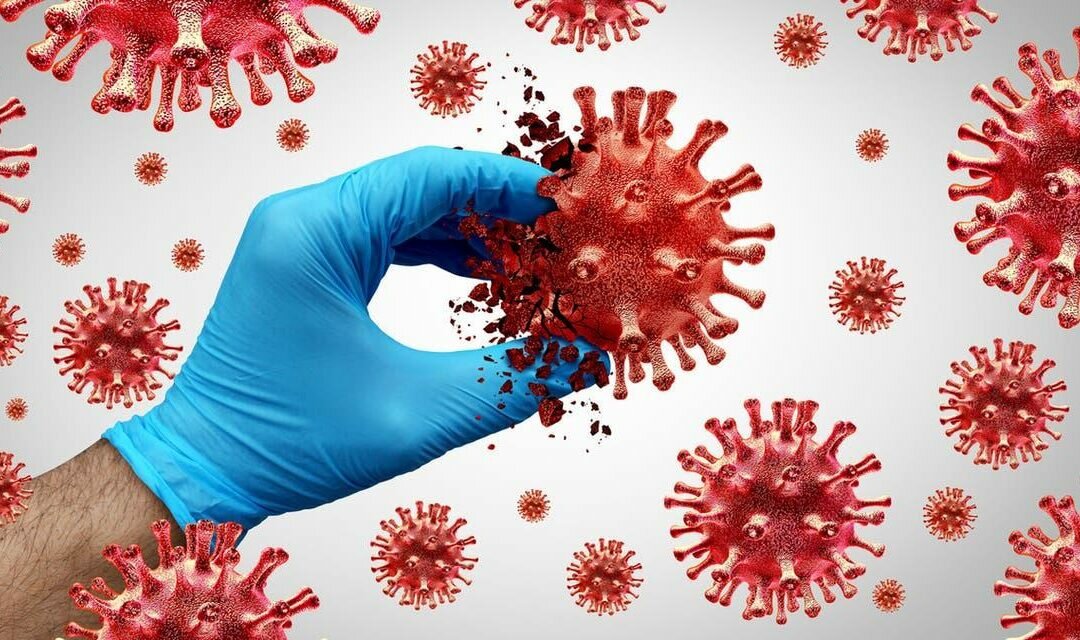 كوريا الجنوبية تواجه كورونا بقرار عاجل لمن هم فوق الـ60 عاماً