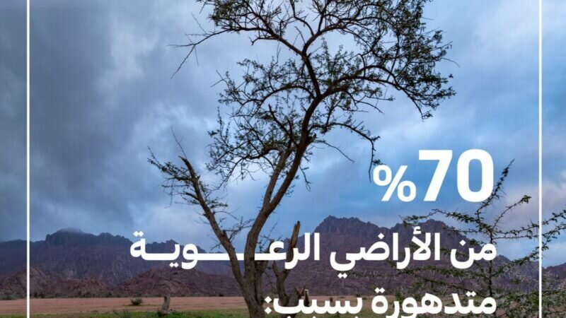 انطلاق حملة توعوية لحماية الغطاء النباتي سعيًا إلى تحقيق مستهدفات مبادرة السعودية الخضراء
