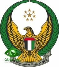 سقوط طائرة إماراتية في البحر واستشهاد قائدها