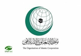 قرار جديد لـ”وزراء دول التعاون الإسلامي” بشأن الصاروخ الحوثي على الرياض