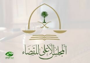 تخصيص دوائر لنظر المنازعات الناشئة عن تطبيق نظام الإفلاس